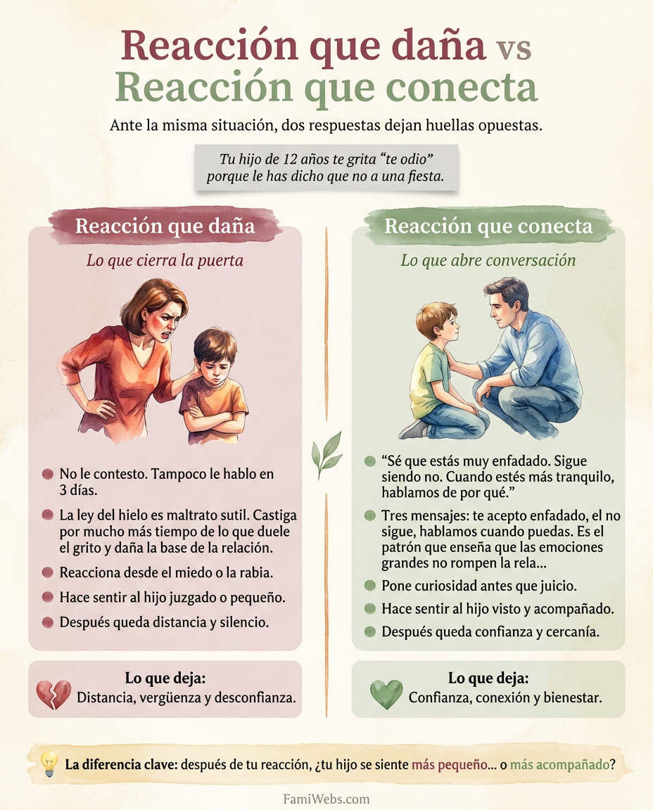 Infografía: O seu filho de 12 anos grita-lhe 'odeio-te' porque lhe disse que não ia a uma festa.